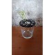 Bobèche, support de bouturage pour verre standard ou pot à confiture. Création artisanale en faïence brune émaillé