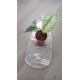 Pique purple white flowers for small pot, glass or glass. Craft creation in enamelled earthenware