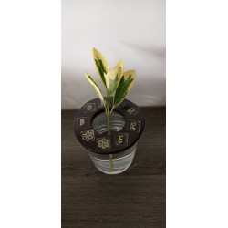 Pique flowers for small pot, glass or glass. Craft creation in enamelled earthenware