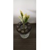 Bobèche, support pour bouturage à poser sur verre standard ou pot à confiture. Création artisanale en faïence brune émaillé